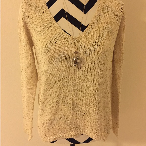 Zara Sweaters - Zara knit sweater & Others