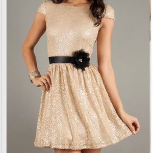 Gold sequined dress; Purchased from Macy's.