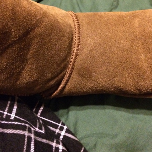 Bearpaw
