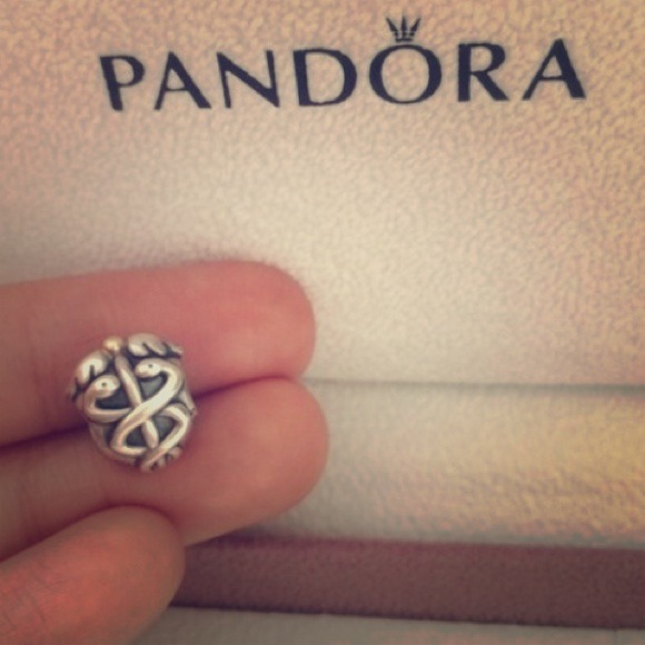 pandora life saver charm pandora life saver charm
