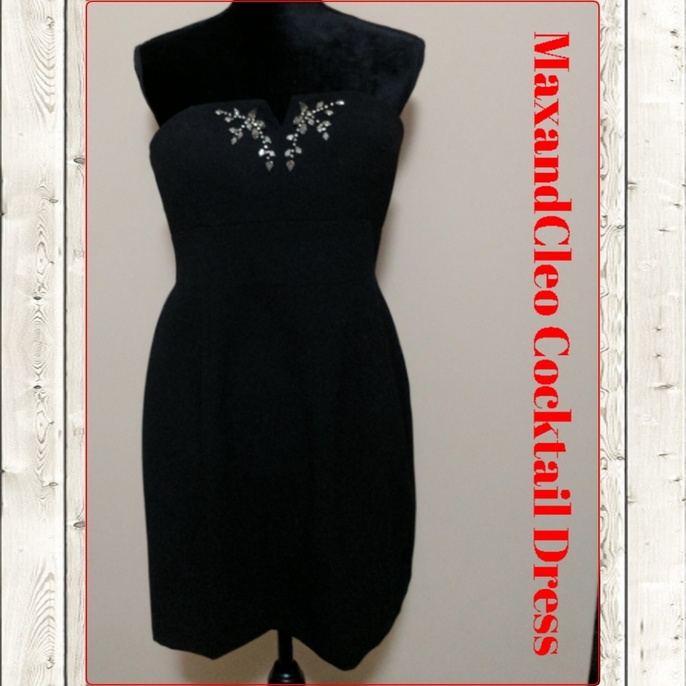NWT MaxandCleo Cocktail Dress