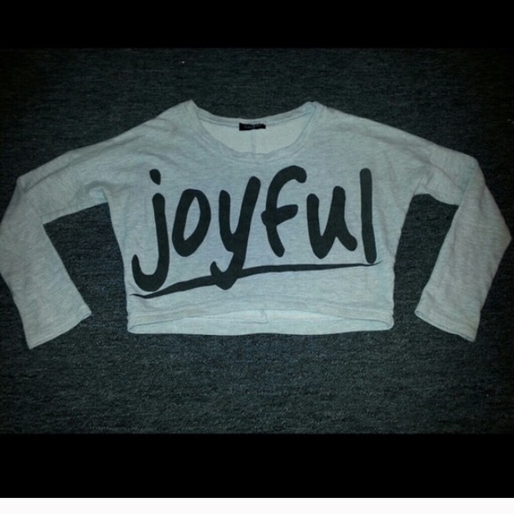 joyful long sleeve crop top