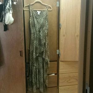 Hi low sheer cheetah print dress