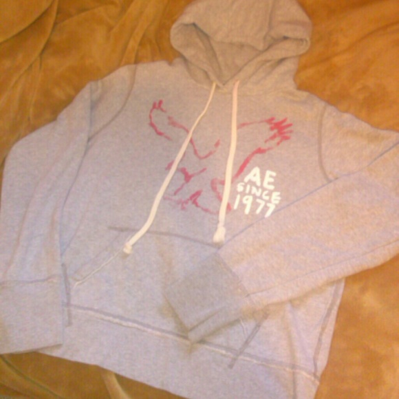 RESERVED! Comfy American Eagle Hoodie