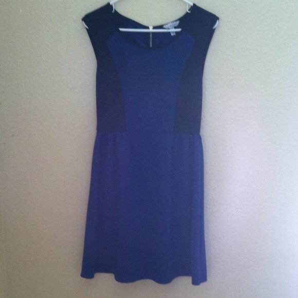 Business Casual Blue and Black Dress
