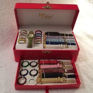 Interchangeable watch