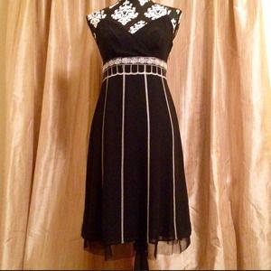 { Ann Taylor } Like New Silky LBD