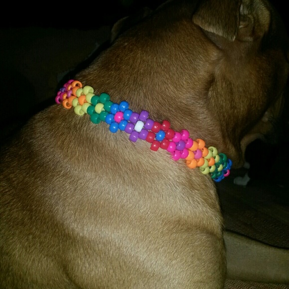 Kandi DOG collars and leashes