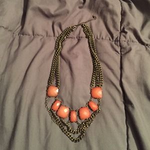 Charming Charlie's Necklace