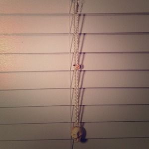 Skull Necklace