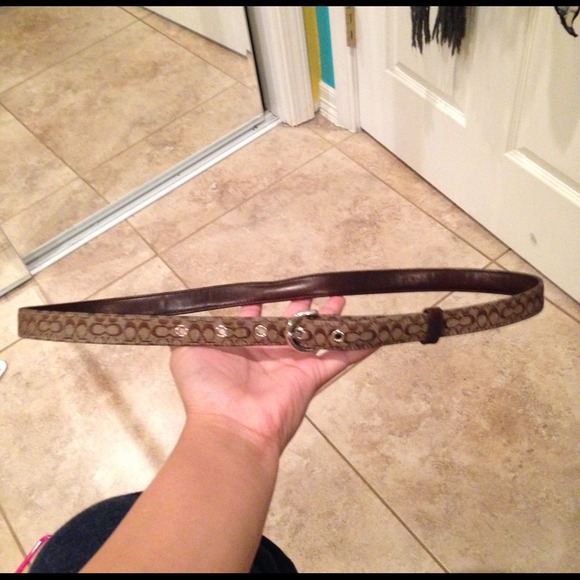 Coach belt