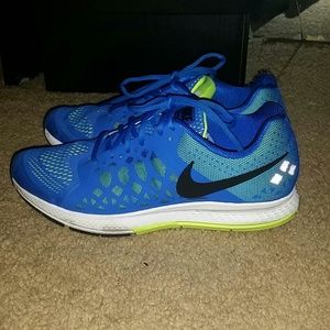 Nike zoom pegasus 31 MEN