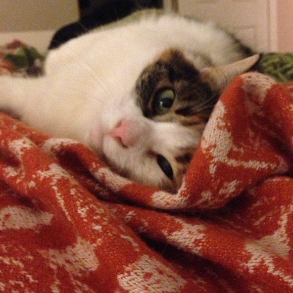 Trade with @jeepgirl93