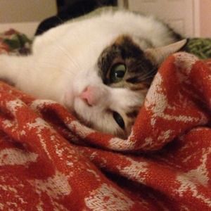 Trade with @jeepgirl93