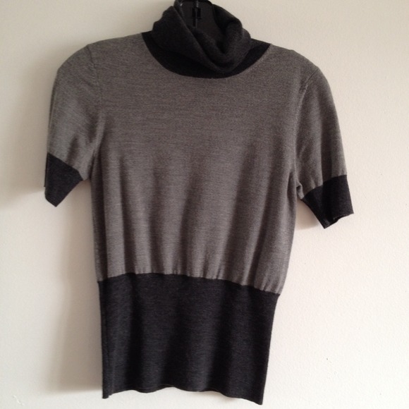 Theory color blocked turtle neck