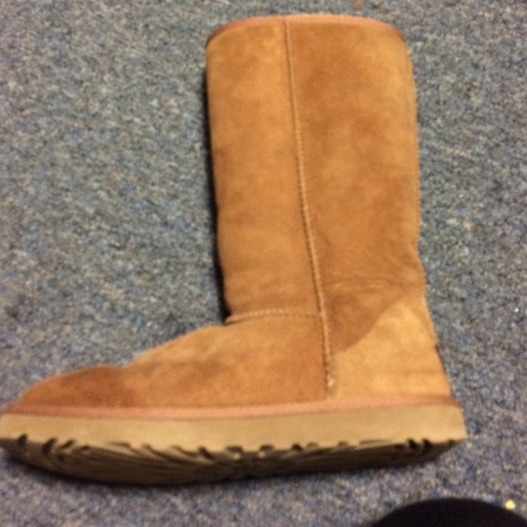 Tall Chestnut uggs!