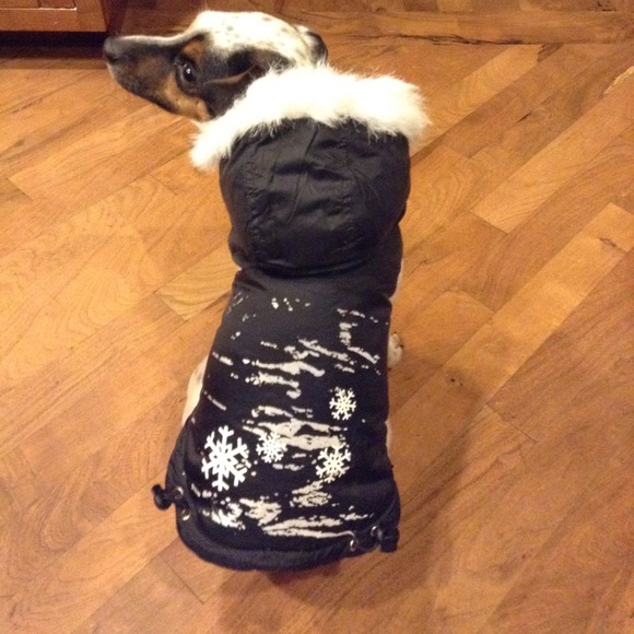 Dog jacket