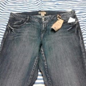 Democracy Jean (plus size)