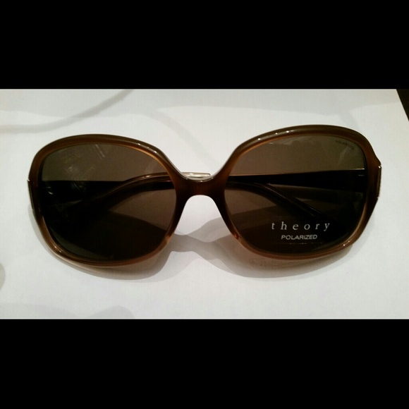Polarized Theory Sunglasses