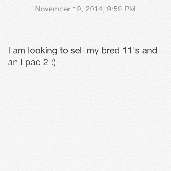 I pad 2
