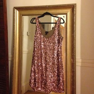 Banana Republic Rose Sequin Dress NWOT