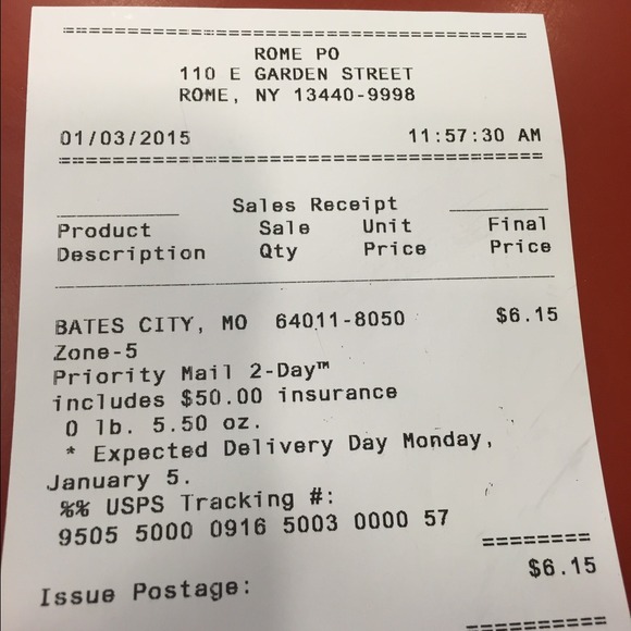 Bundled - sheer ruffle skirt - Picture 3 of 3