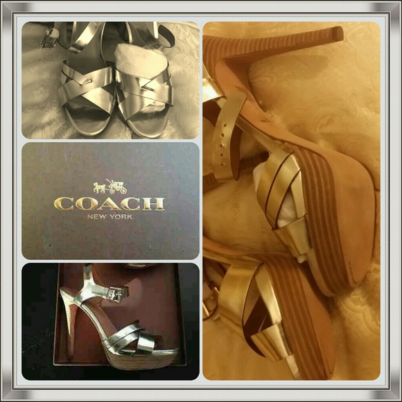 Coach Dani Mirror Metallic Platinum Slides