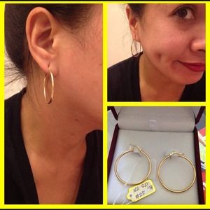 Loop Earrings