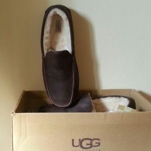 Men ugg