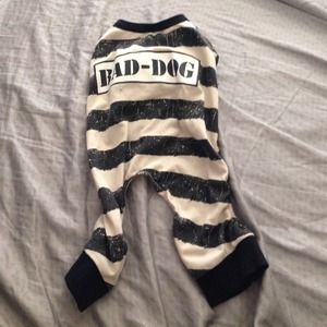 Dog hallowed costume