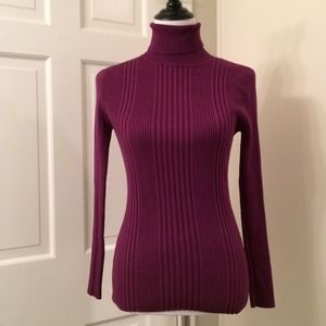 Ribbed Turtleneck