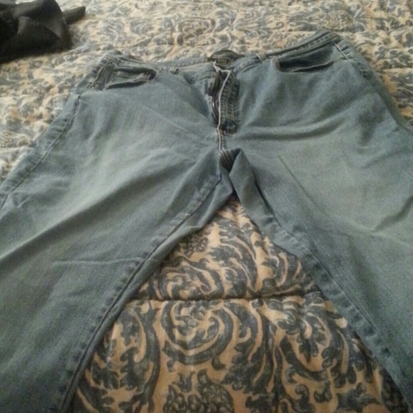 Bundle Venezia blue jeans and Lane Bryant skirt.