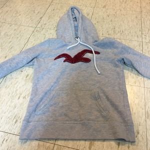 grey hollister hoodie with red bird
