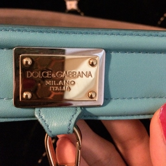 D&G belt