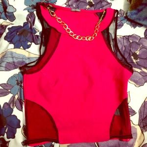 Charlotte Russe Crop Top Pink