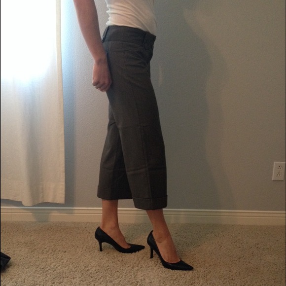 Express Design Studio Editor Pants