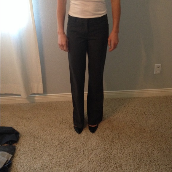 Express Editor Pants