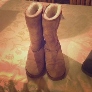 Chestnut tall classic Uggs