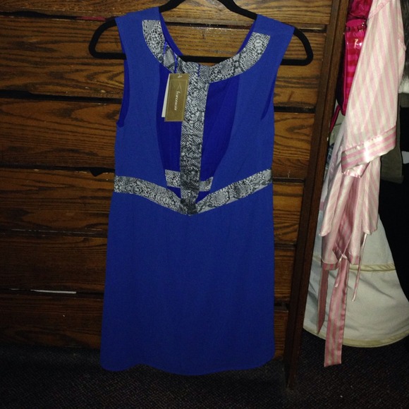 Gorgeous blue dress