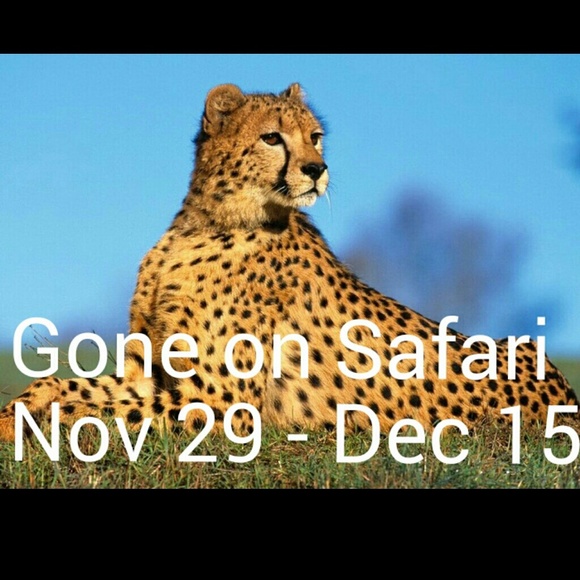 💕💕Going on a Safari💕💕