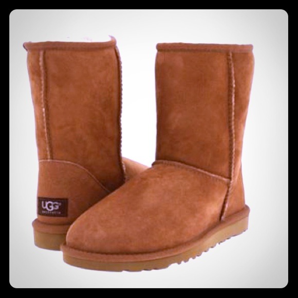 UGG Boots - Short Cheatnut Uggs