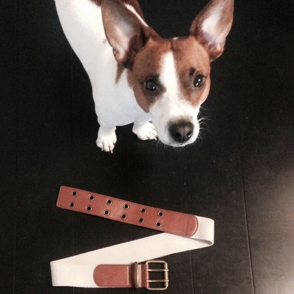 Canvas and leather belt
