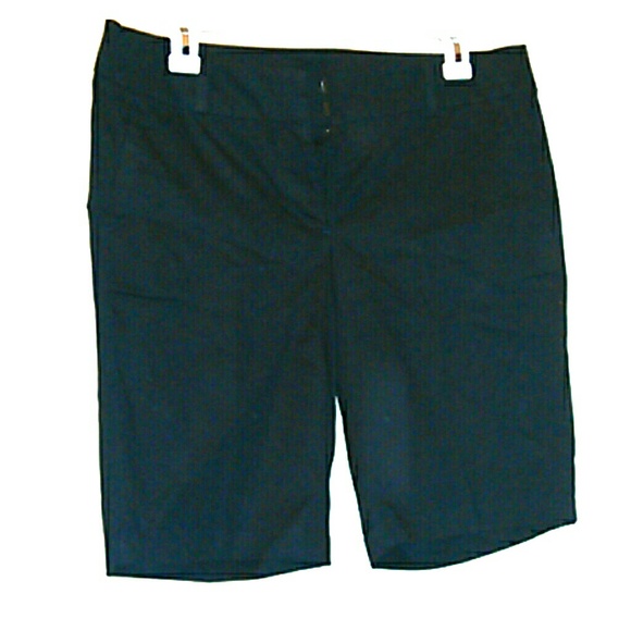 Ann Taylor Boardwalk Shorts