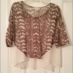 Brown and white sheer top