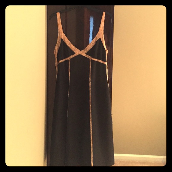 Chaiken Designer Dress W/Lace Detail-NWT! - Picture 1 of 4