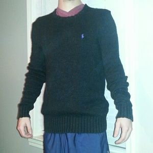 Polo mens sweater