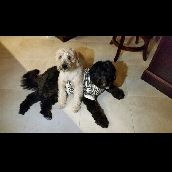 Bundle for @lleini ;)