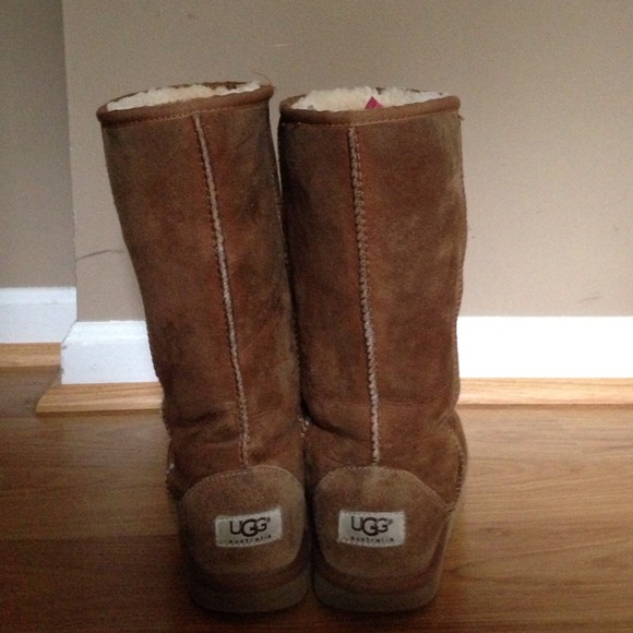 Classic tall chestnut uggs