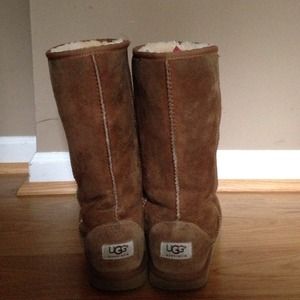 Classic tall chestnut uggs