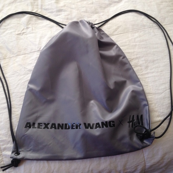 Alexander wang bag